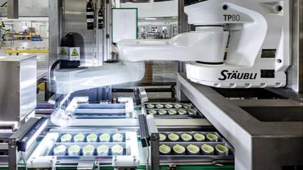 科技赋能传统，匠心融合智造——央视网深度解码小罐茶黄山智能工厂