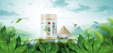 三七的功效与适用人群及与茶叶的搭配