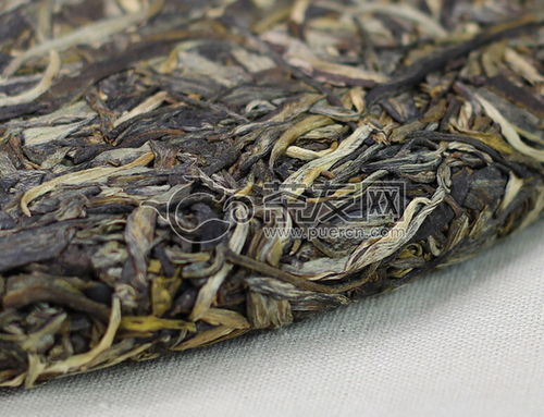 2015年老同志食品安全年会礼品茶生茶1000克评测 品质、价格与茶友反馈